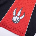 Mitchell & Ness Pánské kraťasy Toronto Raptors NBA 2012-13 Swingman Shorts Velikost: XL