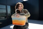 Nákupní košík Reisenthel Carrybag Mesh tropical