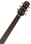 Ibanez AAD50-LG