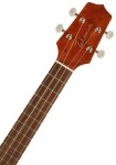 Takamine EGU-T1