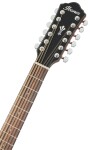 Ibanez AEG5012H Black