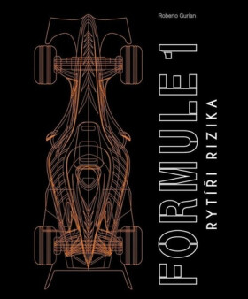 Formule 1 - Rytíři rizika - Roberto Gurian