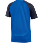 Tričko Nike DF Academy Pro SS Top K Jr DH9277 463 m