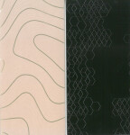 Obálka na peníze - Bronislav Kuba