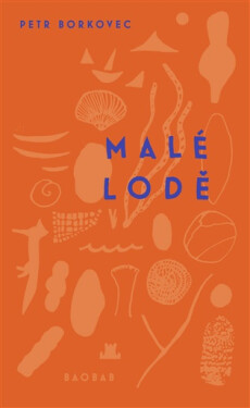 Malé lodě - Petr Borkovec