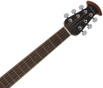Ovation CS24-1