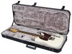 Fender American Professional II Telecaster