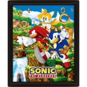 Sonic 3D obraz - Catching Rings - EPEE Merch - Pyramid