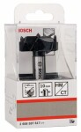 Bosch Accessories 2609255291 Foersterův vrták, čelní fréza 40 mm Celková délka 90 mm válcová stopka 1 ks