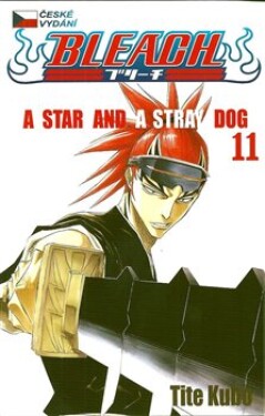 Bleach 11: Star and Stray Dog Kubo