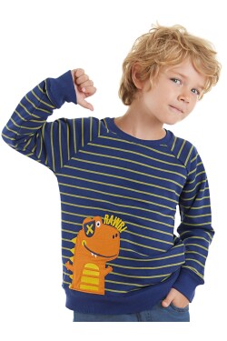 Denokids Dino Boys Striped Navy Sweatshirt.