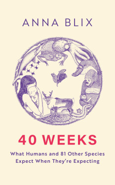 40 Weeks - Anna Blix