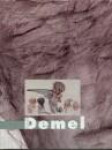 Karel Demel