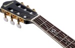 Ibanez TOD20FMN BFL