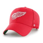 Detroit Red Wings Branson