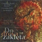 Do dřeva zakletá - 2 CD - Technik Ostrava CM