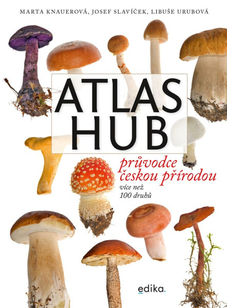 Atlas hub - Marta Knauerová