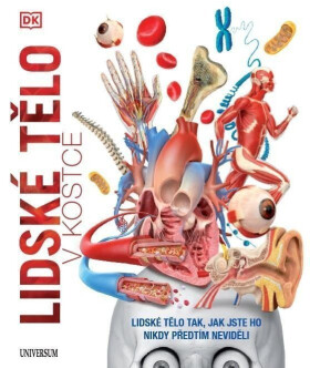 Lidské tělo v kostce - Kolektiv autorů