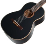 Ortega R221BK