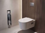 HANSGROHE - XtraStoris Rock Podomítkový držák toaletního papíru s WC štětkou, s dvířky, kartáčovaná ocel 56062800