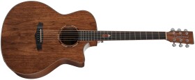 Tanglewood TWX6CEBW