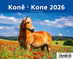 Stolní kalendář 2026 Helma MiniMax - Koně