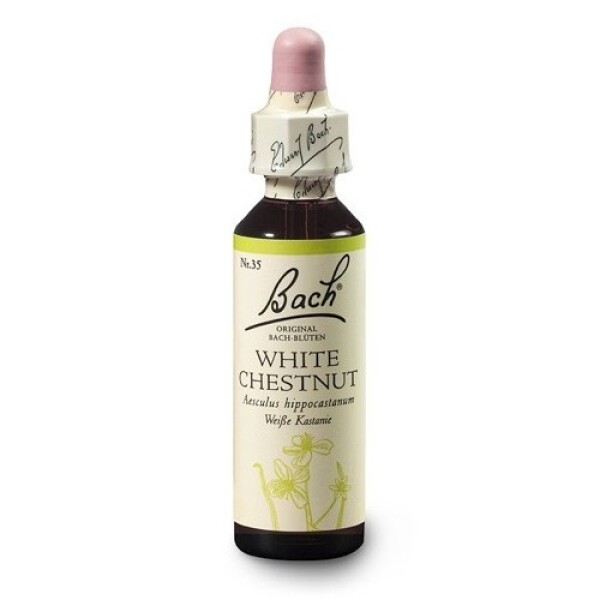 Kaštan bílý (White Chestnut) 20 ml- Bachovy esence Dr.Bach