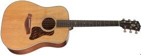 Taylor Gold Label 510e