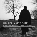 Umřel stromě