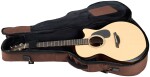 Furch Blue Performance Gc-SW CNR Active 2026
