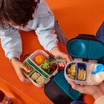 B.box Bento organizér do středního boxu, zelený