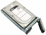 DELL server disk 8TB / SAS 12Gbps / 7200 RPM / 3.5" / 512e / pro PowerEdge HS5610 R340 R6515 6525 R660 / 1y (161-BBRX)