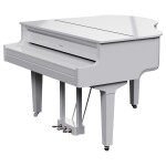 Roland GP-9M PW