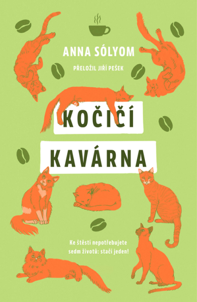 Kočičí kavárna - Anna Sólyom