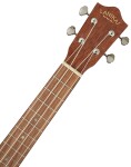 Lanikai MAS-T
