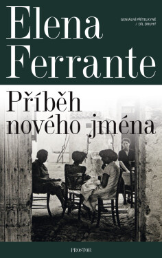 Geniální přítelkyně: Příběh nového jména - Elena Ferrante