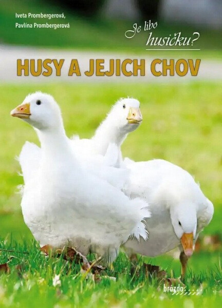 Husy a jejich chov - Iveta Prombergerová