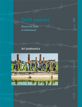 Déšť popela - Ari Joskowicz