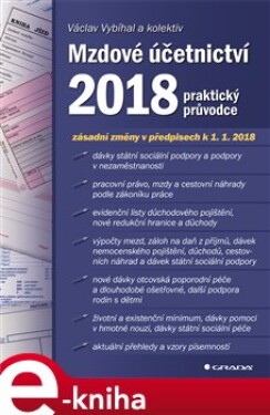 Mzdové účetnictví 2018. praktický průvodce - Václav Vybíhal e-kniha