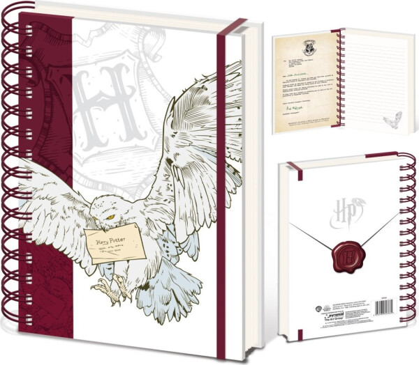 Harry Potter Zápisník kroužkový A5 Special Delivery - EPEE