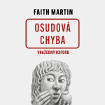 Osudová chyba - Martin Faith - audiokniha