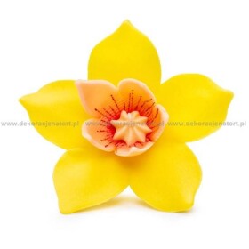 Dortisimo Cukrová dekorace Pětilistá květina žlutá (20 ks)