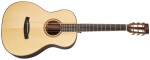 Tanglewood TJ8E