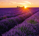 Nástěnný kalendář vázankový/kravata 2026 Helma - Provence