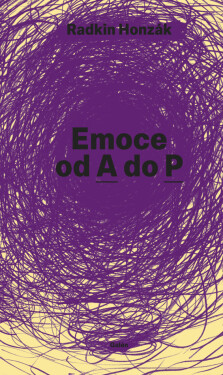 Emoce - Radkin Honzák