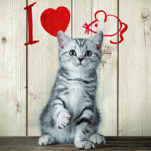 Magnet 3D Miluji myši