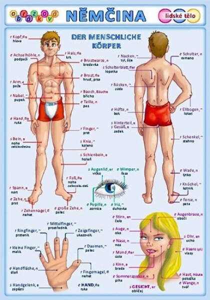 Obrázková němčina 3 - Lidské tělo - Petr Kupka