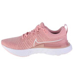 Dámské boty React Infinity Run Flyknit CT2423-600 Nike 39