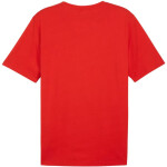 Puma Team Rise Logo Jersey Cotton M 658705 01 pánské m