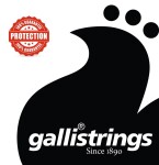 Galli RS1070 Nickel 8-String Regular
